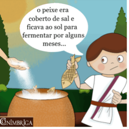 Garum 3